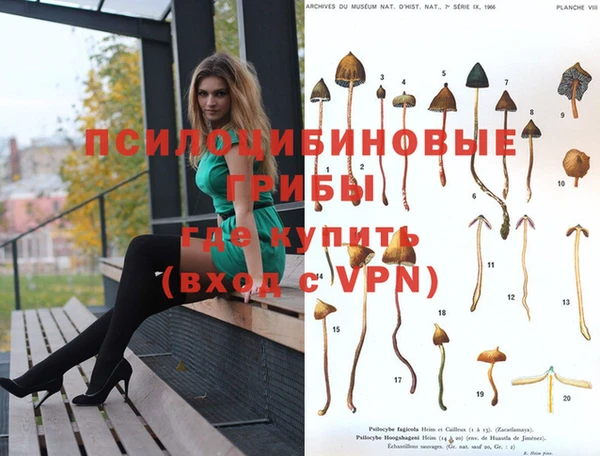 наркотики Карпинск