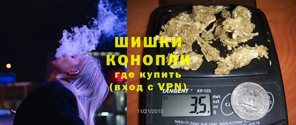 ПСИЛОЦИБИНОВЫЕ ГРИБЫ Каменка