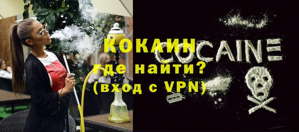 ПСИЛОЦИБИНОВЫЕ ГРИБЫ Каменка