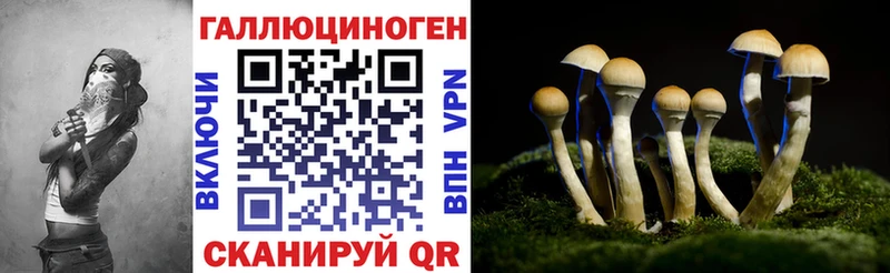 Купить закладки  Заволжск  Галлюциногенные грибы мицелий 